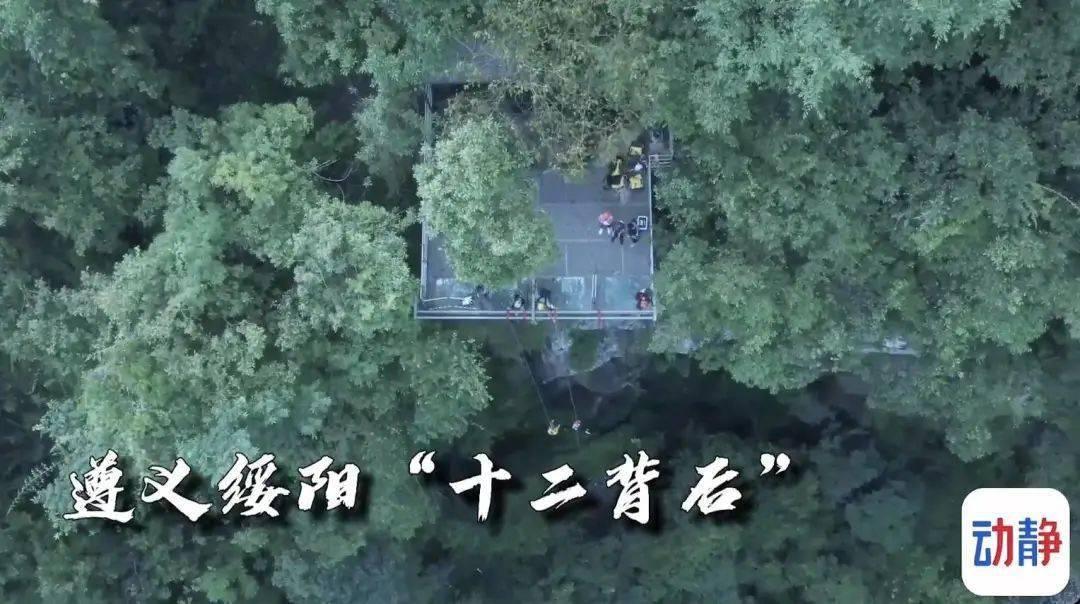 逗小猴开心系列206